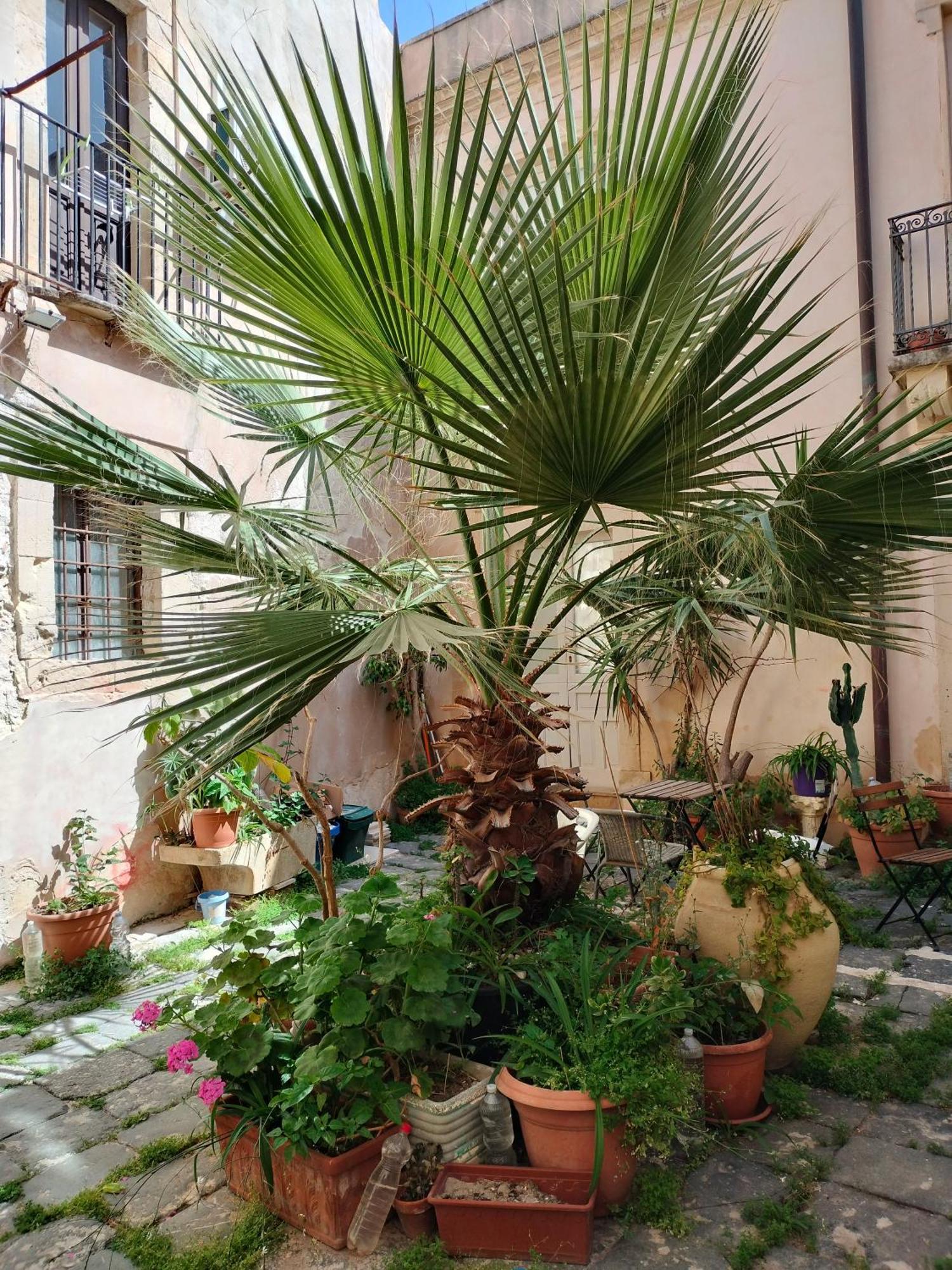 锡拉库扎Casa La Palma Di Ortigia公寓 外观 照片